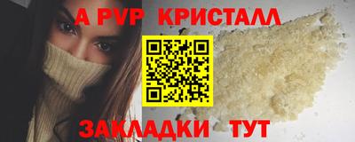 шишки Моздок