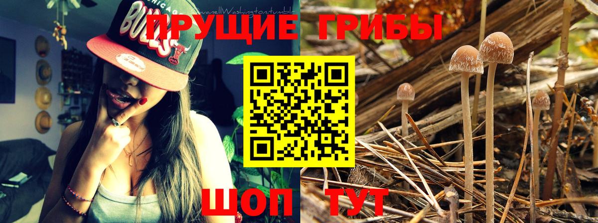 Галлюциногенные грибы MAGIC MUSHROOMS Усинск